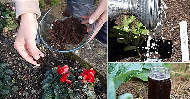 16 A magas hozamú növénynövekedés titkai | Természetes összetevők a termő kerthez