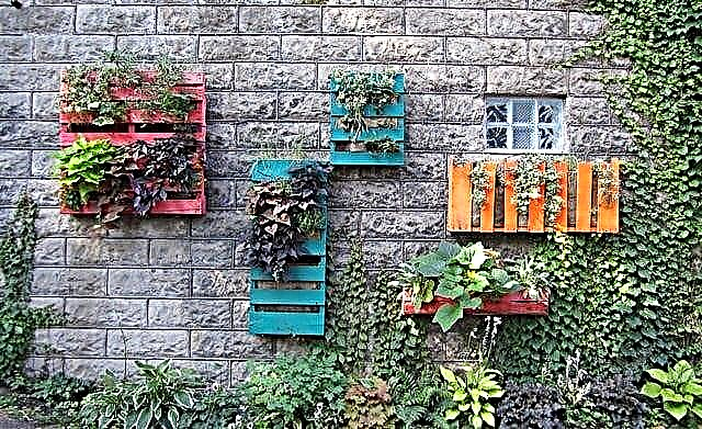 40 sjajnih DIY projekata paleta za vrtlare