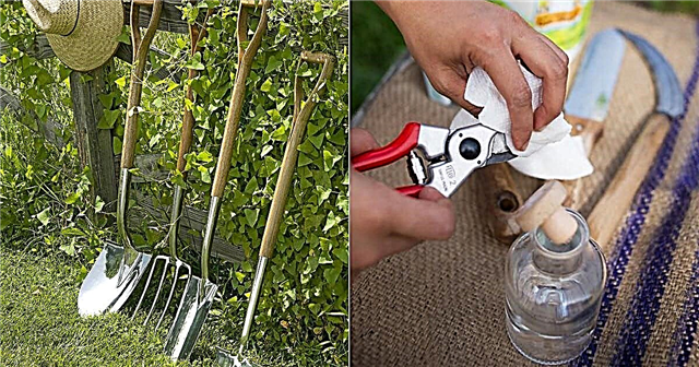 Kaip valyti sodo įrankius Rūdžių sodo įrankių valymas
