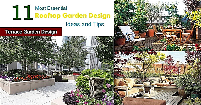 11 가장 필수적인 옥상 정원 디자인 아이디어 및 팁 | 테라스 가든 디자인