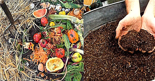 Jednostavno kompostiranje: 6 jednostavnih koraka koje treba slijediti