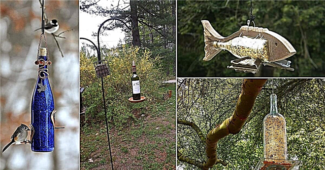 12 ιδέες τροφοδοσίας πουλιών μπουκαλιών κρασιού DIY