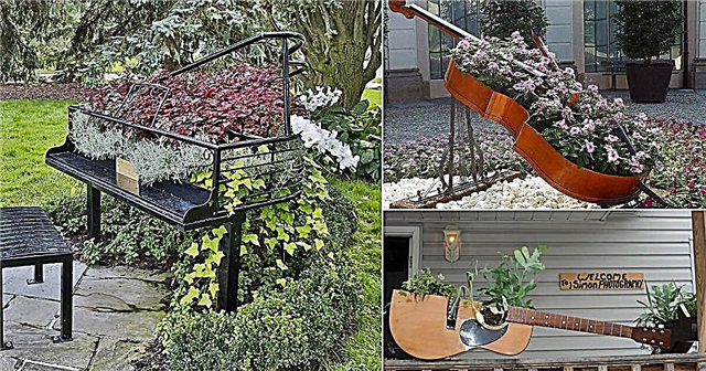 7 Bizarre DIY-plantenbakken voor muziekinstrumenten