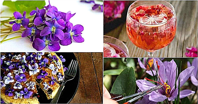 13 פרחי מאכל נהדרים לטעם האוכל שלך ולשפר את בריאותך