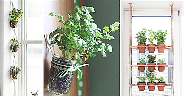 17 ideias de jardim de ervas penduradas para espaços pequenos!