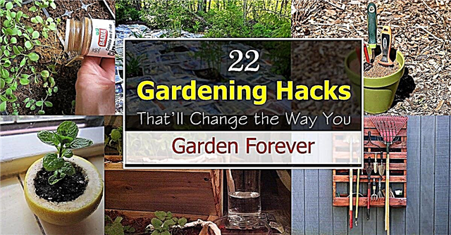 22 Vrtlarski hakovi koji će vam zauvijek promijeniti način na koji vrtujete