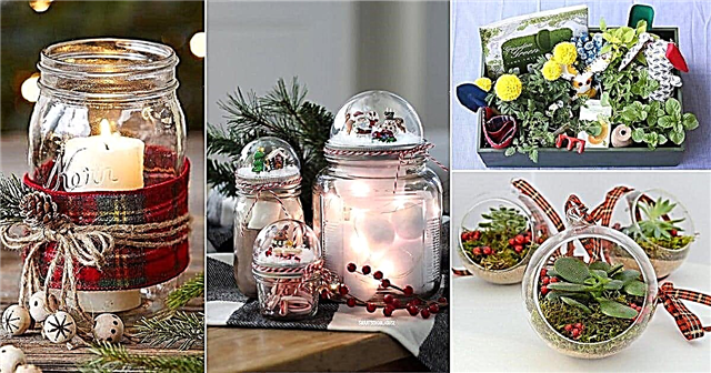 22 kreativních DIY vánočních dárků pro zahradníky