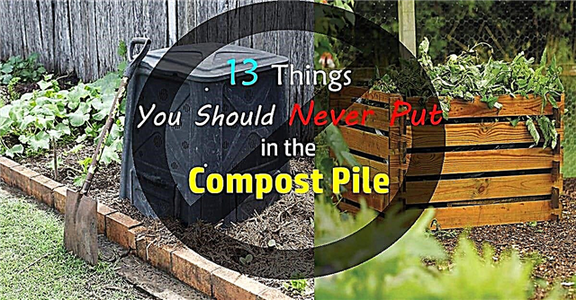 13 saker du inte kan kompostera | Vad man inte ska kompostera