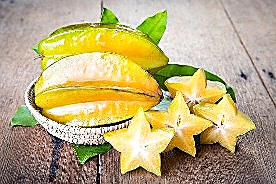 Hvor kommer stjernefrukt fra | Star Fruit Fakta