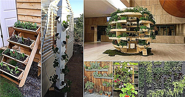 50 DIY垂直ガーデニングのアイデア|垂直庭園を作る方法