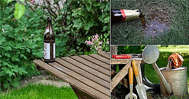 10 upotreba piva u vrtu