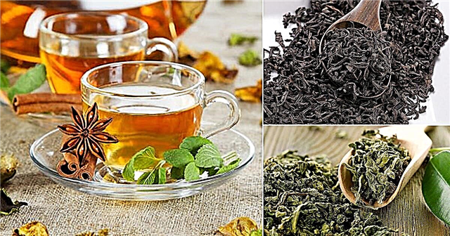 Arten von Teeblättern Sorten von Teeblättern