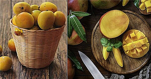 Mango este un fruct citric sau un fruct de piatră?