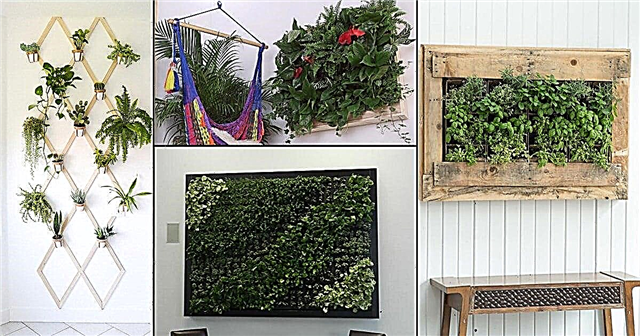 16 DIY projektů na vnitřní stěny rostlin, kdokoli může dělat Nápady na obývací stěnu pro domov