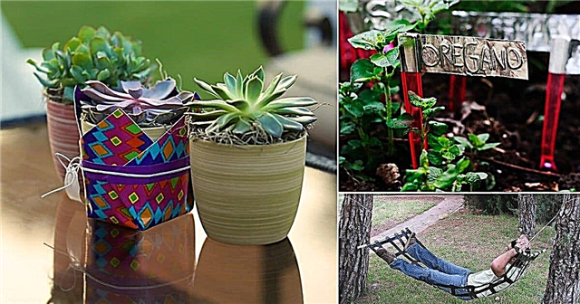 8 способов использования клейкой ленты в саду