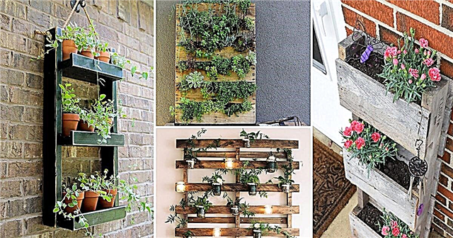 屋内でより多くの植物を育て、16の最高のDIY垂直パレットガーデンのアイデアに従ってください！