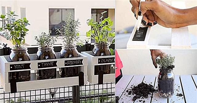 Jardín de hierbas DIY Mason Jar | Tutorial paso a paso