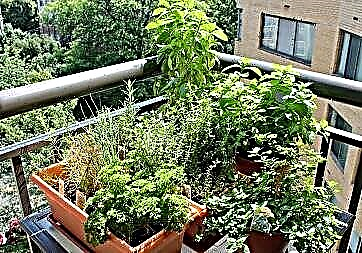 Comment faire un jardin d'herbes balcon »wiki utile Tutoriel complet
