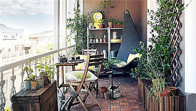 Идеи украшения балкона | 10 вещей, которые нужно купить для балкона