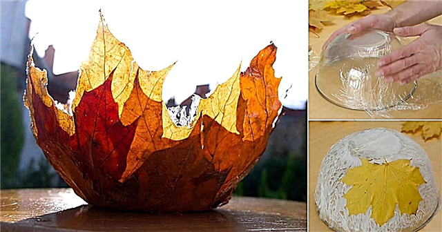 DIY Leaf Bowl Centerpiece | Κάνοντας ένα μπολ με φύλλα