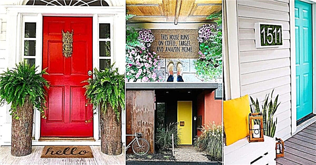 30 stilīgas priekšējo durvju dekoru idejas ar augiem