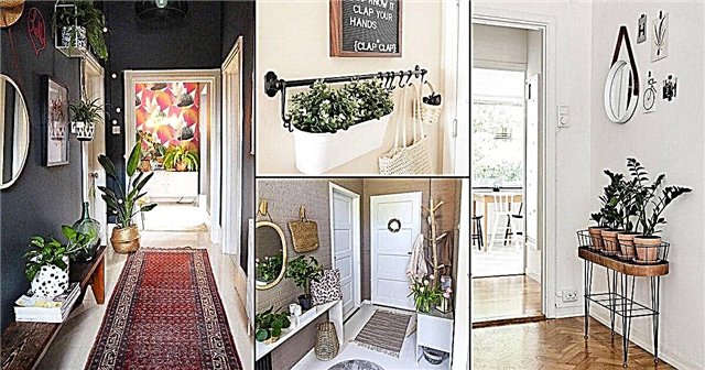 20 idées de décoration de couloir avec des plantes